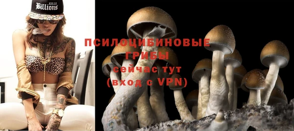 соль ск Арсеньев